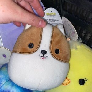 Reginald dog Squishmallow